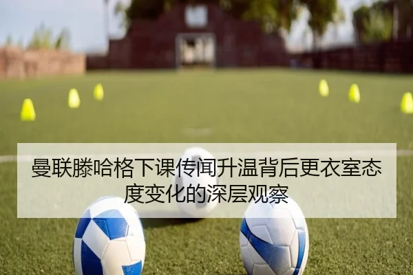 img_1780602397956_697_1_874.jpg